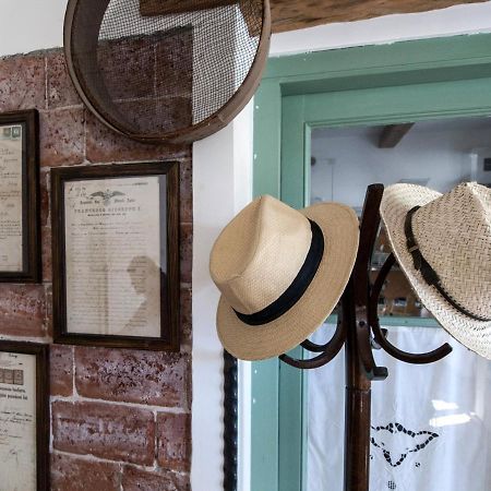 Il Glicine Bed & Breakfast San Dorligo della Valle Екстериор снимка