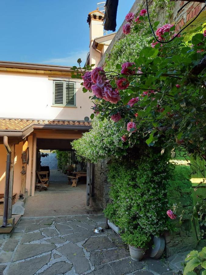 Il Glicine Bed & Breakfast San Dorligo della Valle Екстериор снимка