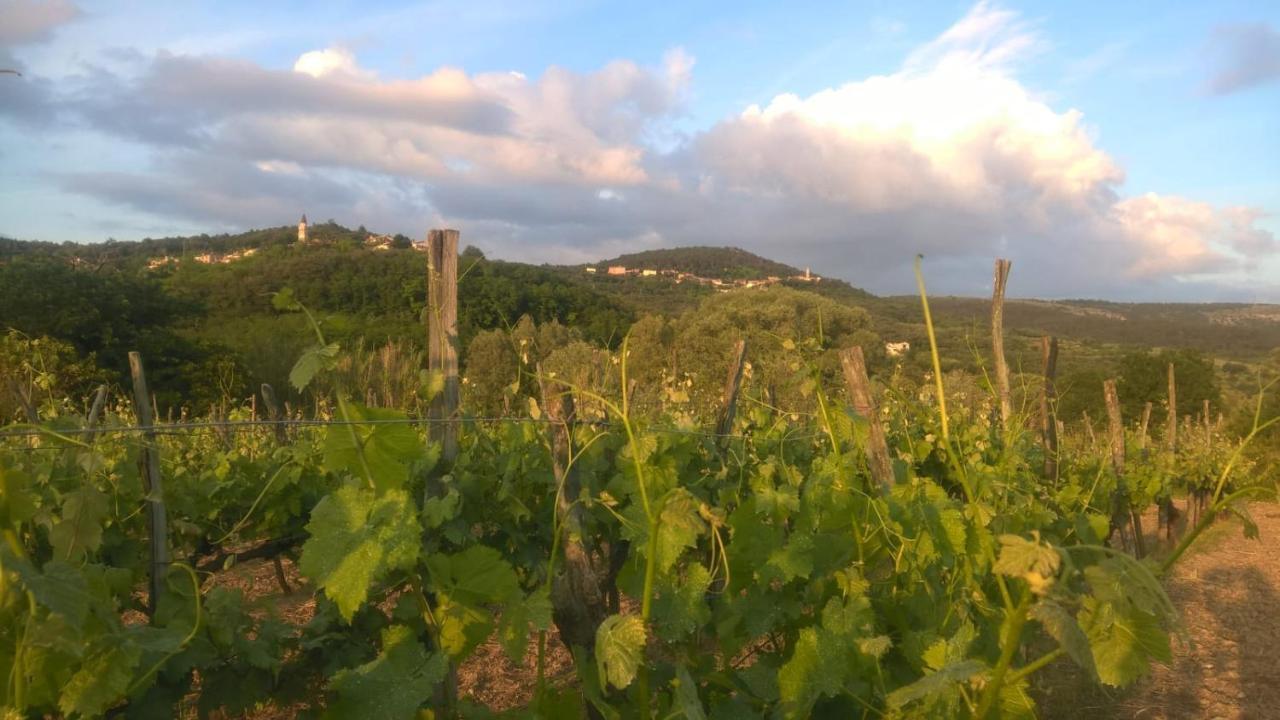 Il Glicine Bed & Breakfast San Dorligo della Valle Екстериор снимка