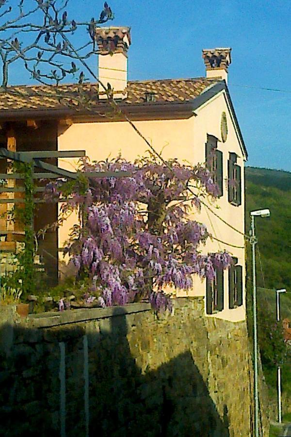 Il Glicine Bed & Breakfast San Dorligo della Valle Екстериор снимка