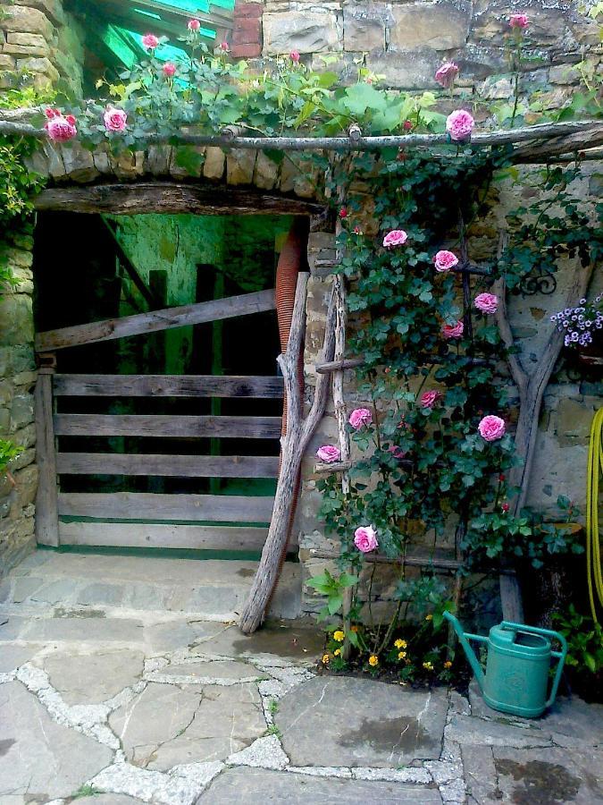 Il Glicine Bed & Breakfast San Dorligo della Valle Екстериор снимка