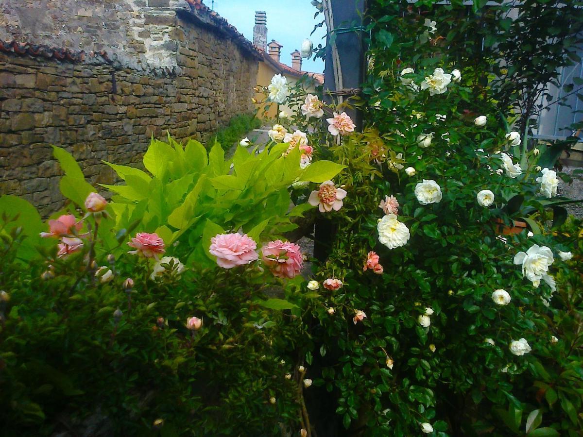 Il Glicine Bed & Breakfast San Dorligo della Valle Екстериор снимка
