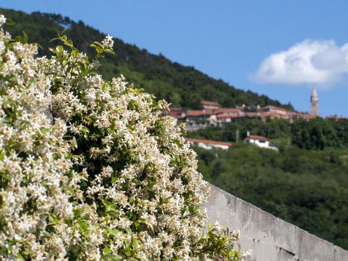 Il Glicine Bed & Breakfast San Dorligo della Valle Екстериор снимка