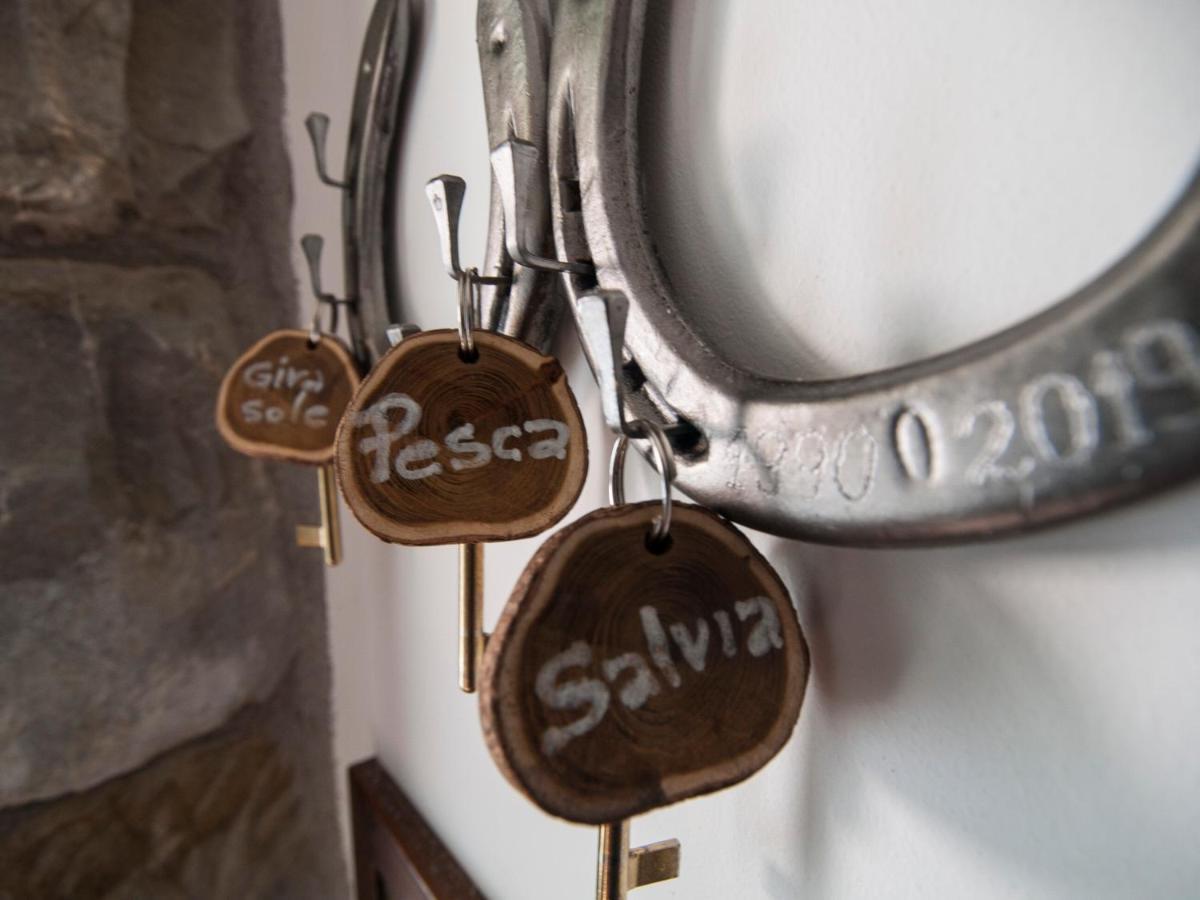 Il Glicine Bed & Breakfast San Dorligo della Valle Екстериор снимка