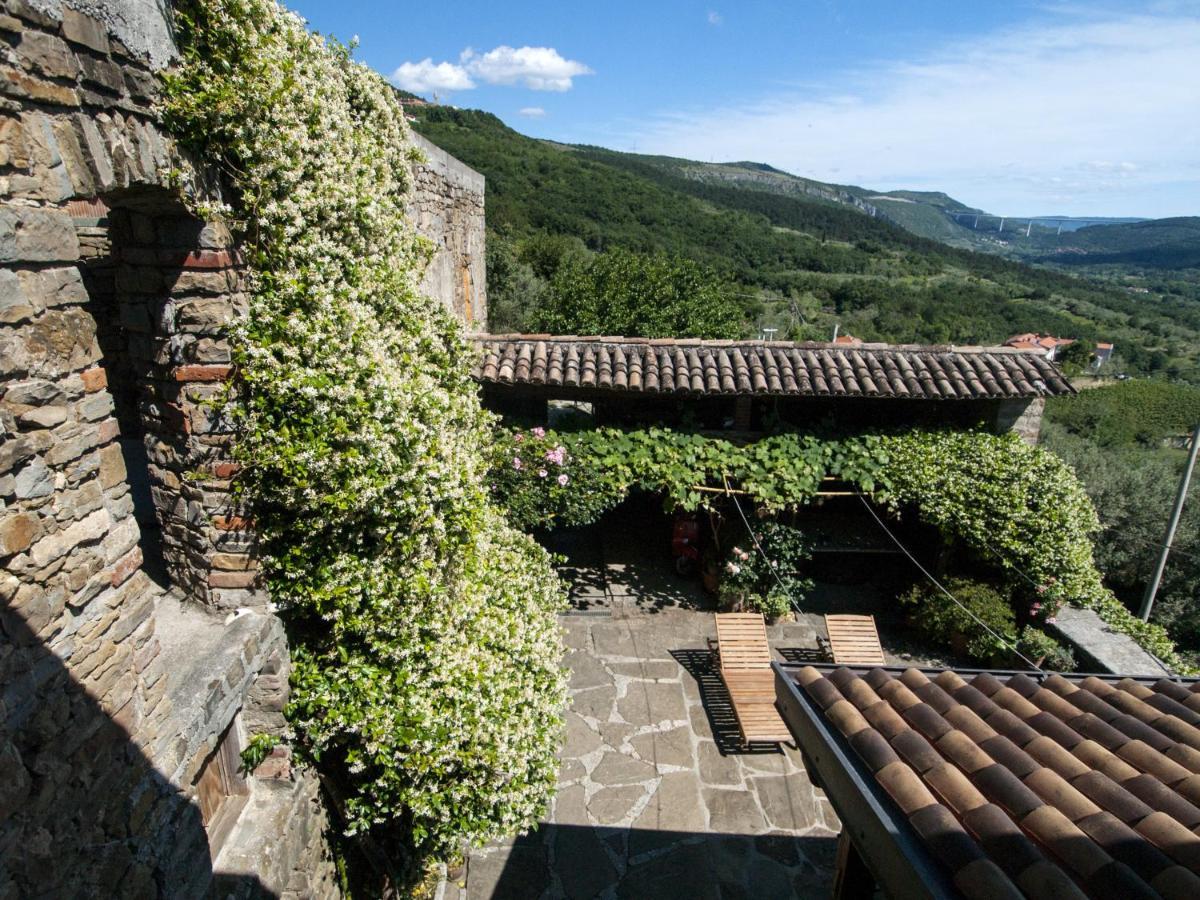 Il Glicine Bed & Breakfast San Dorligo della Valle Екстериор снимка