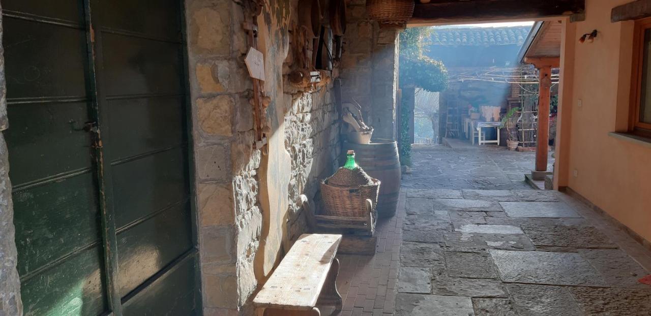 Il Glicine Bed & Breakfast San Dorligo della Valle Екстериор снимка