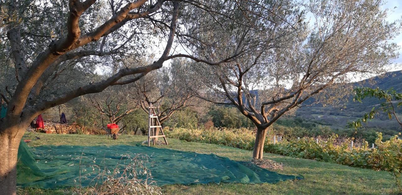 Il Glicine Bed & Breakfast San Dorligo della Valle Екстериор снимка